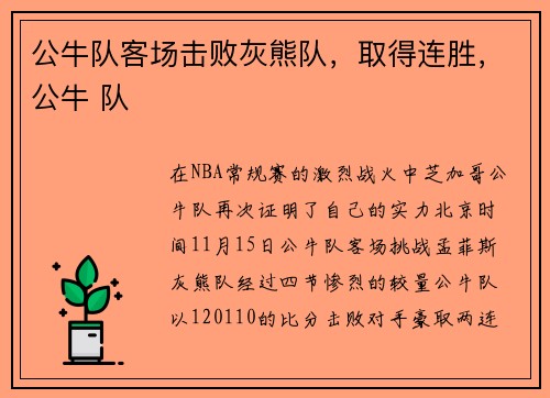 公牛队客场击败灰熊队，取得连胜，公牛 队
