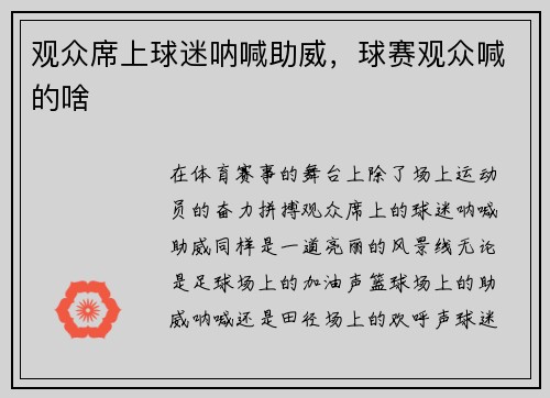 观众席上球迷呐喊助威，球赛观众喊的啥