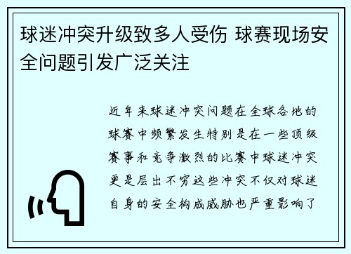 球迷冲突升级致多人受伤 球赛现场安全问题引发广泛关注